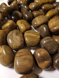 Petrified Wood Stone - Tumbled, Natural Stone - Phiyani Rue