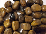 Petrified Wood Stone - Tumbled, Natural Stone - Phiyani Rue