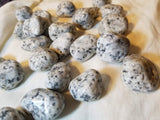 Dalmatian Tumbled Stone, Natural Stone - Phiyani Rue