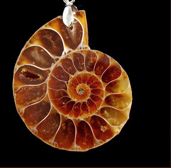 Ammonite Fossils Seashell Snail Pendants Ocean (Unisex), Pendant - Phiyani Rue